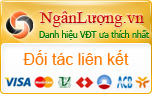 thanh-toan-truc-tuyen-nganluong.vn