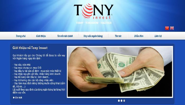 thiet-ke-web-cong-ty-dau-tu-tonyinvest-ha-noi