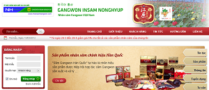 thiet-ke-web-hong-sam-kangwon