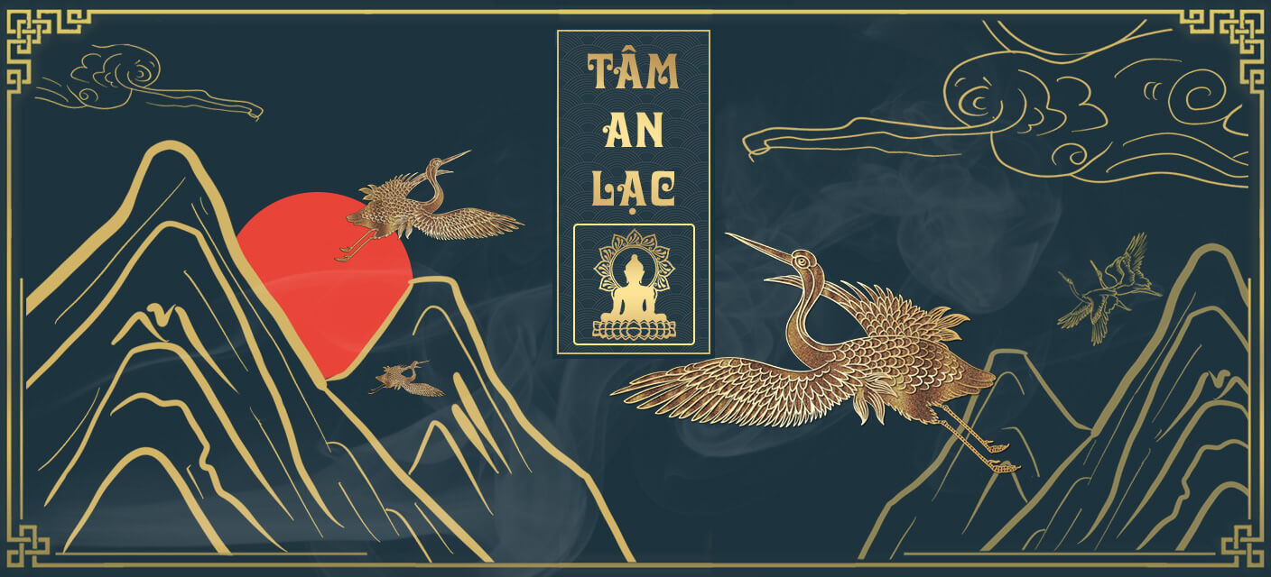 dich-vu-tang-le-tron-goi-tphcm