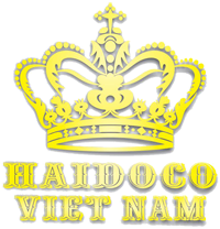 thiet-ke-web-hai-do-co