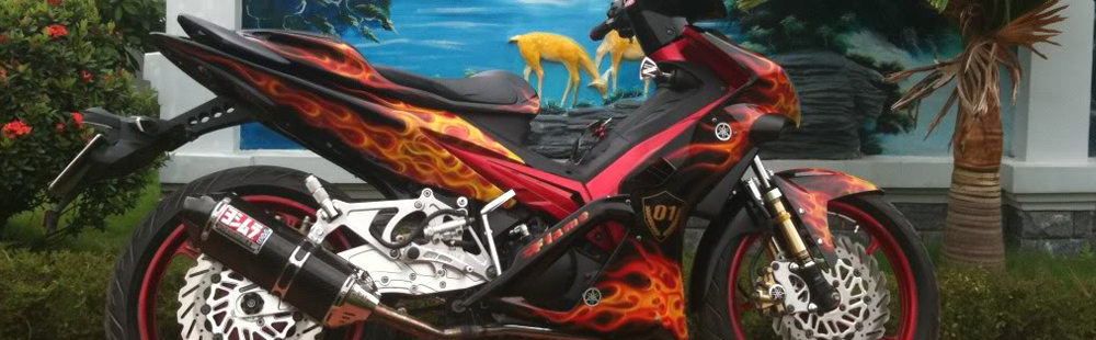 thiet-ke-web-son-vinh-thinh-hai-phong