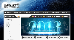 thiet-ke-website-blackcat-ha-noi