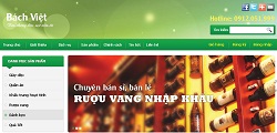 thiet-ke-web-cong-ty-bach-viet