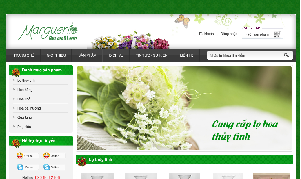 thiet-ke-website-lo-thuy-tinh-va-hoa