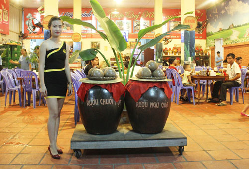 thiet-ke-web-nha-hang-hien-minh-hp