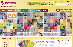 thiet-ke-website-son-boss-hai-phong