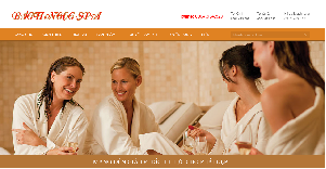 thiet-ke-web-spa-bich-ngoc-hai-phong