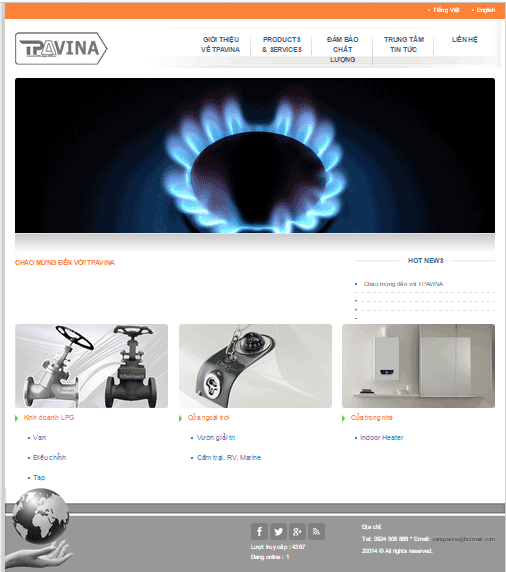 thiet-ke-website-lien-doanh-tpavina